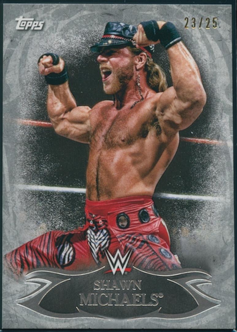 Shawn Michaels [Silver] #18