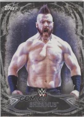 Sheamus [Black] #77