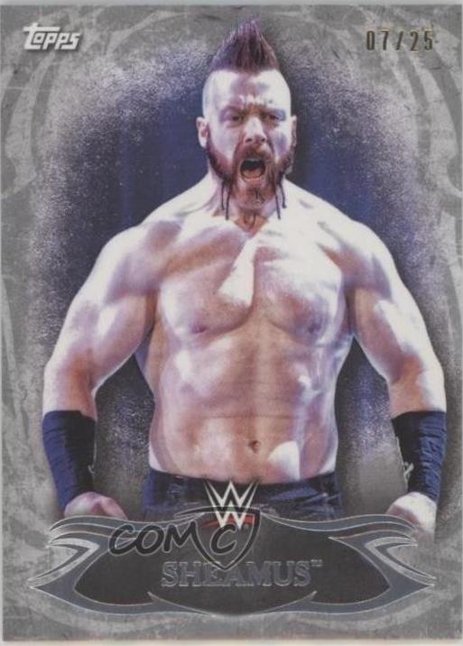 Sheamus [Silver] #77