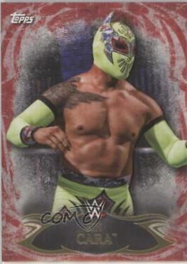 Sin Cara [Red] #43