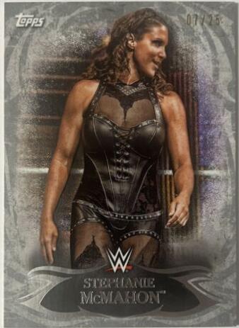 Stephanie McMahon [Silver] #88