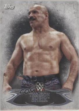 The Iron Sheik #65