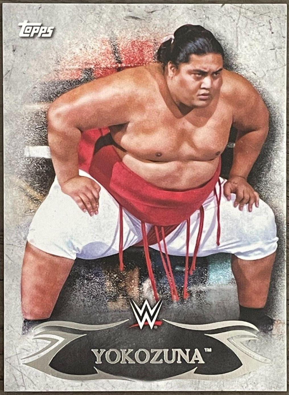 Yokozuna #75