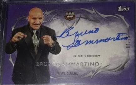 Bruno Sammartino [Purple] #UA-BS