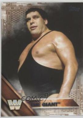 Andre The Giant [Bronze] #52