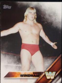Barry Windham #54