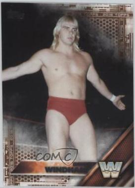 Barry Windham [Bronze] #54