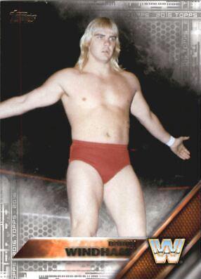Barry Windham [Silver] #54