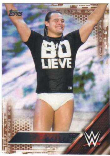Bo Dallas [Bronze] #7