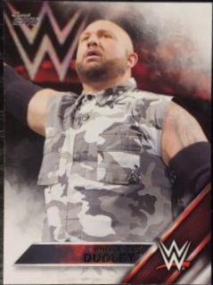 Bubba Ray Dudley #10