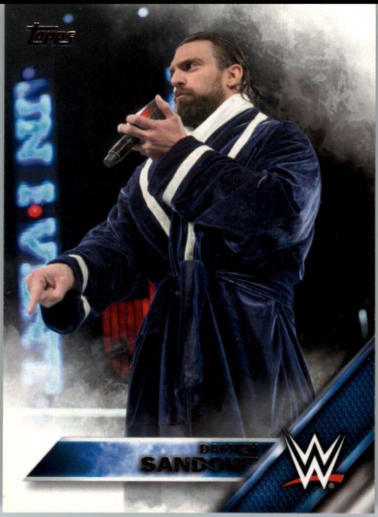 Damien Sandow #18