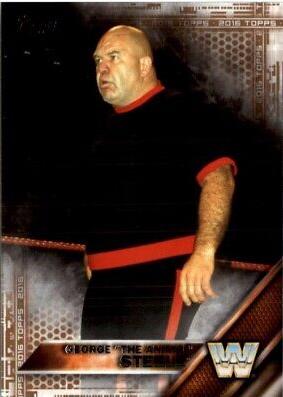 George The Animal Steele [Bronze] #64