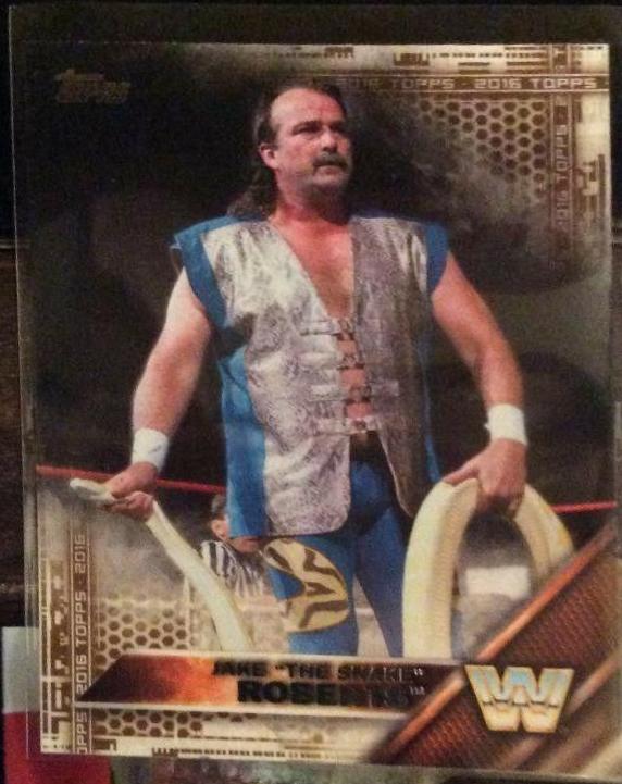 Jake The Snake Roberts [Bronze] #67