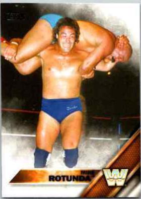 Mike Rotunda #76