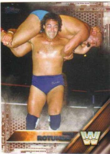 Mike Rotunda [Bronze] #76