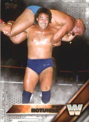 Mike Rotunda [Silver] #76