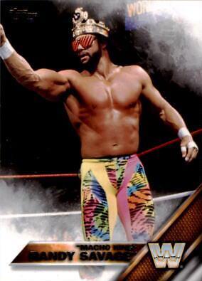 Randy Savage #75