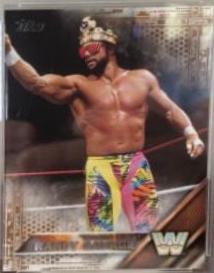 Randy Savage [Bronze] #75