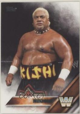 Rikishi #85
