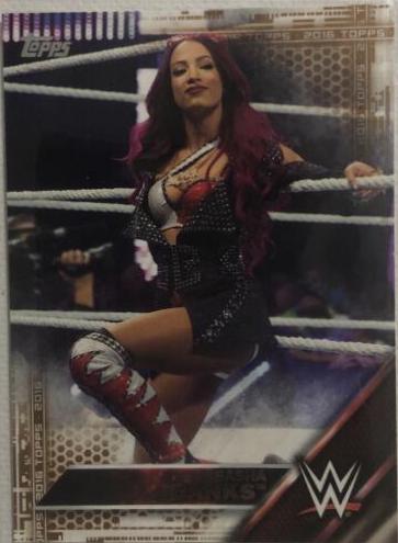 Sasha Banks [Bronze] #40