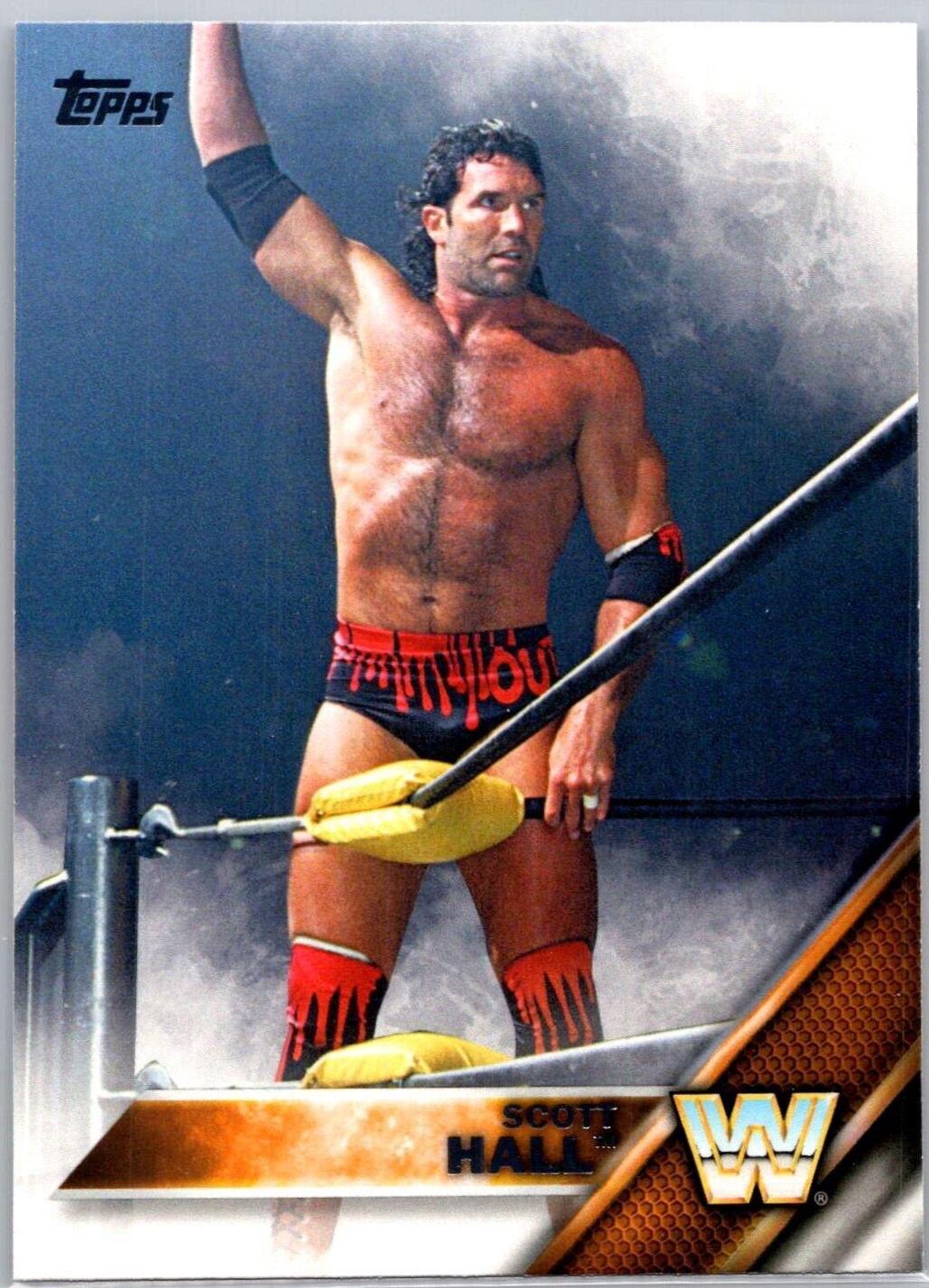 Scott Hall [Bronze] #91