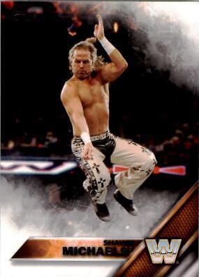 Shawn Michaels #93