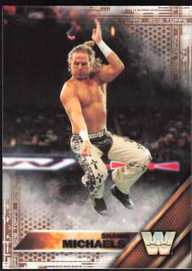 Shawn Michaels [Bronze] #93