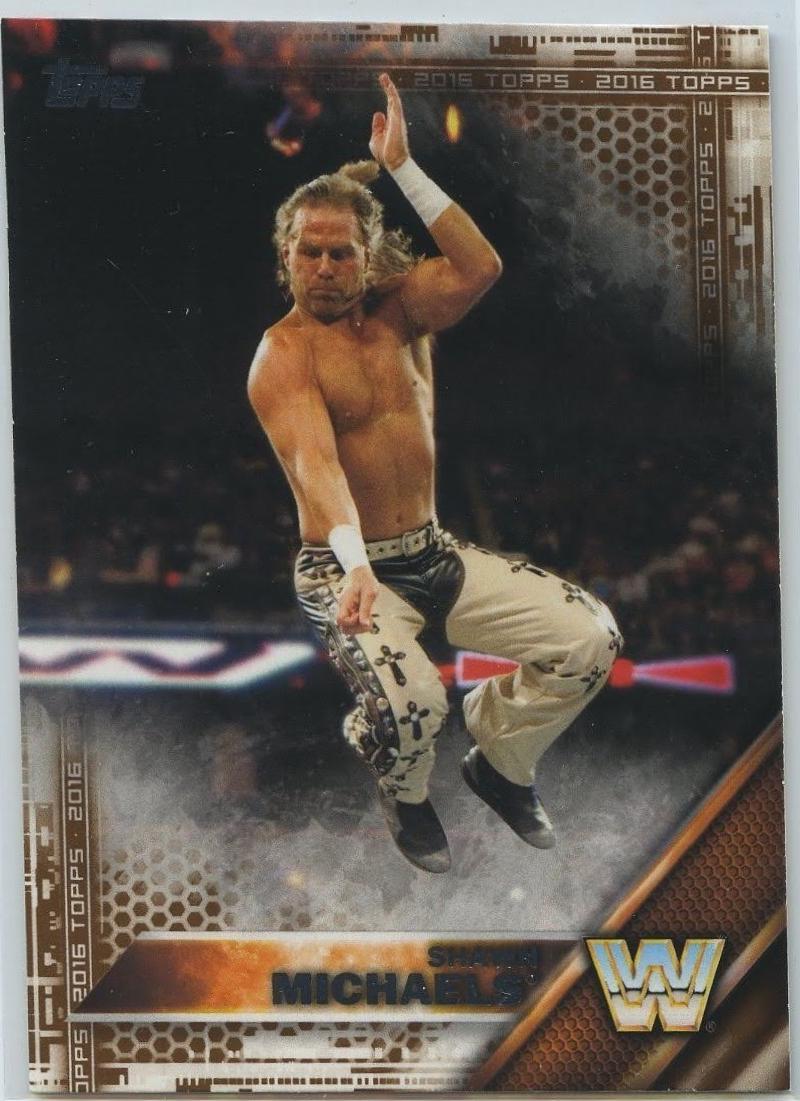 Shawn Michaels [Gold] #93