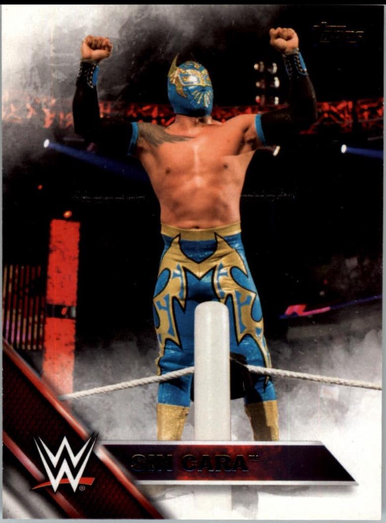 Sin Cara #41