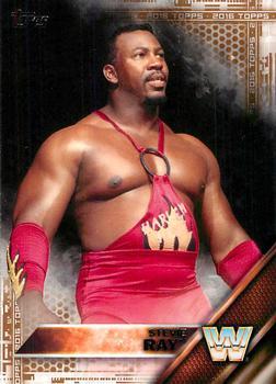 Stevie Ray [Bronze] #94