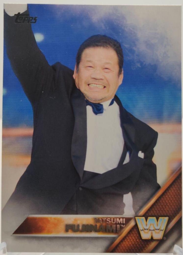 Tatsumi Fujinami #96