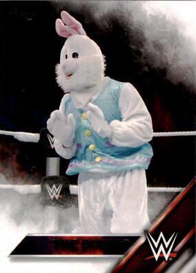 The Bunny #11