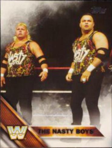 The Nasty Boys #80