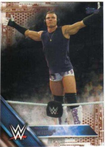 Tyson Kidd [Bronze] #46