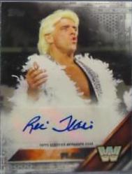 Ric Flair [Silver]