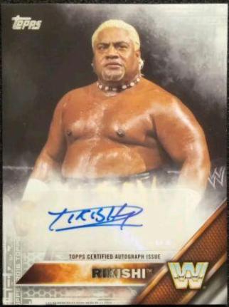 Rikishi [Silver]