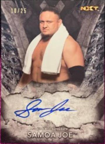 Samoa Joe [Silver]