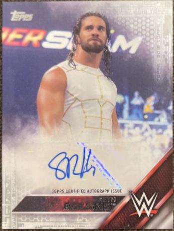 Seth Rollins [Silver]