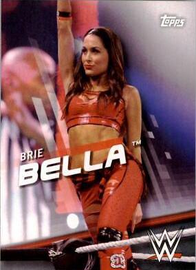 Brie Bella #17