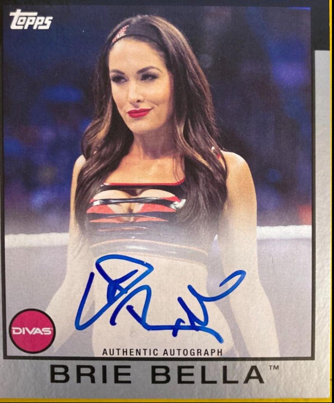 Nikki Bella [Silver Autograph] #30