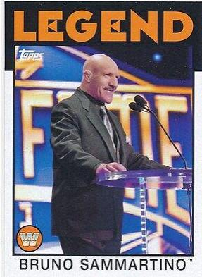 Bruno Sammartino #77