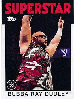 Bubba Ray Dudley #8