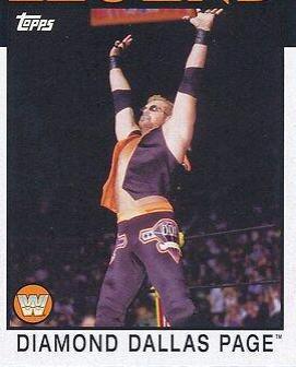 Diamond Dallas Page #79