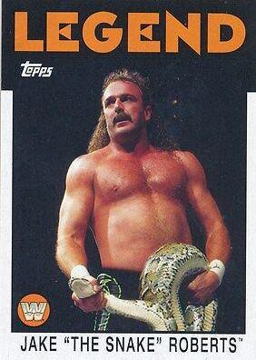 Jake The Snake Roberts #85