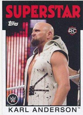 Karl Anderson #23