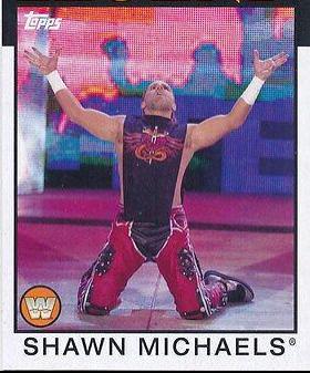 Shawn Michaels #104