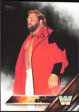 Big John Studd #154