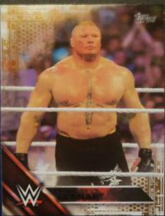 Brock Lesnar [Bronze] #109