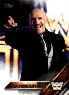 Bruno Sammartino #158
