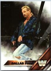 Diamond Dallas Page #163
